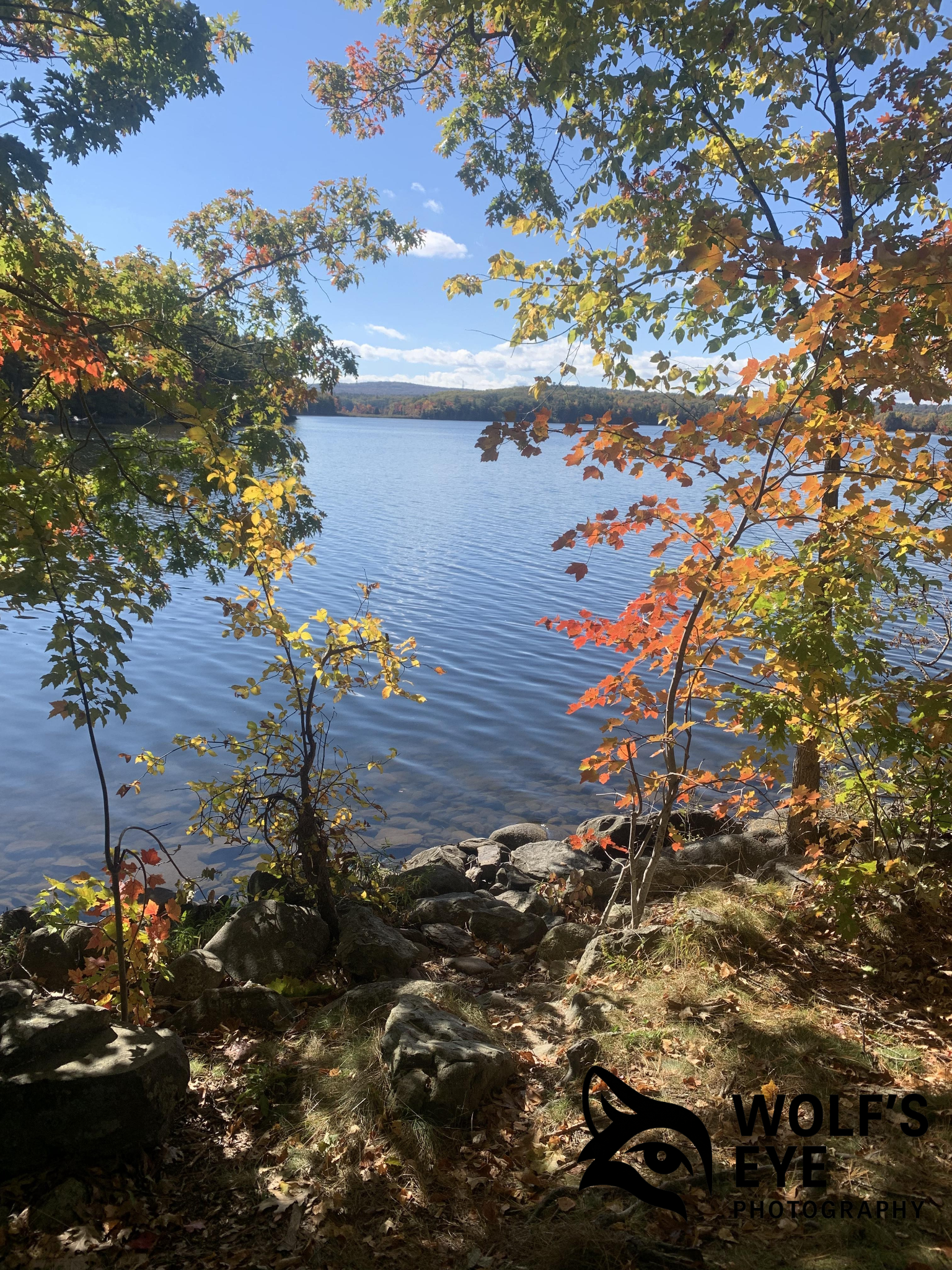 Autumn Shoreline View
